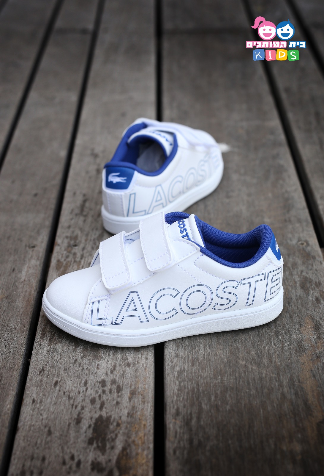 WhatsApp Image 2019-05-23 at 1.55.43 PM.jpeg.jpeg